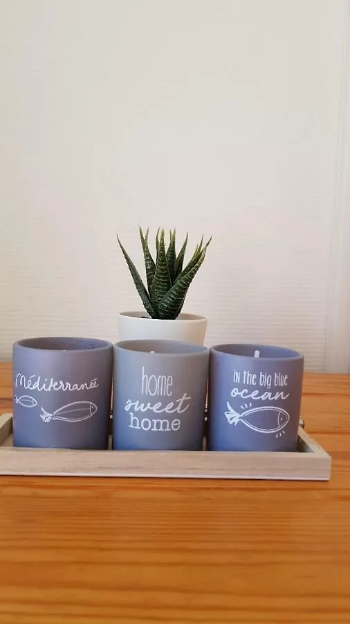 Le Carpediem Apartment Bormes-les-Mimosas France